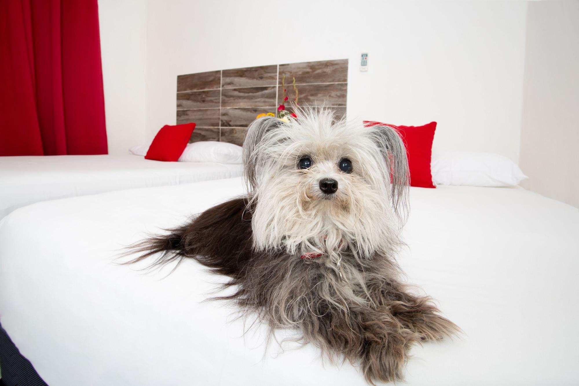 Suite 24 Aparthotel By Xperience Hotels Playa del Carmen Ngoại thất bức ảnh